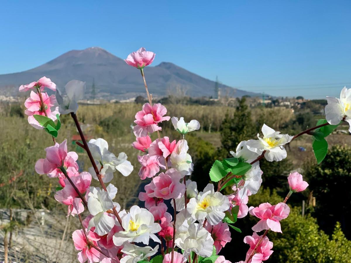 Villa Valentino Pompeji 외부 사진